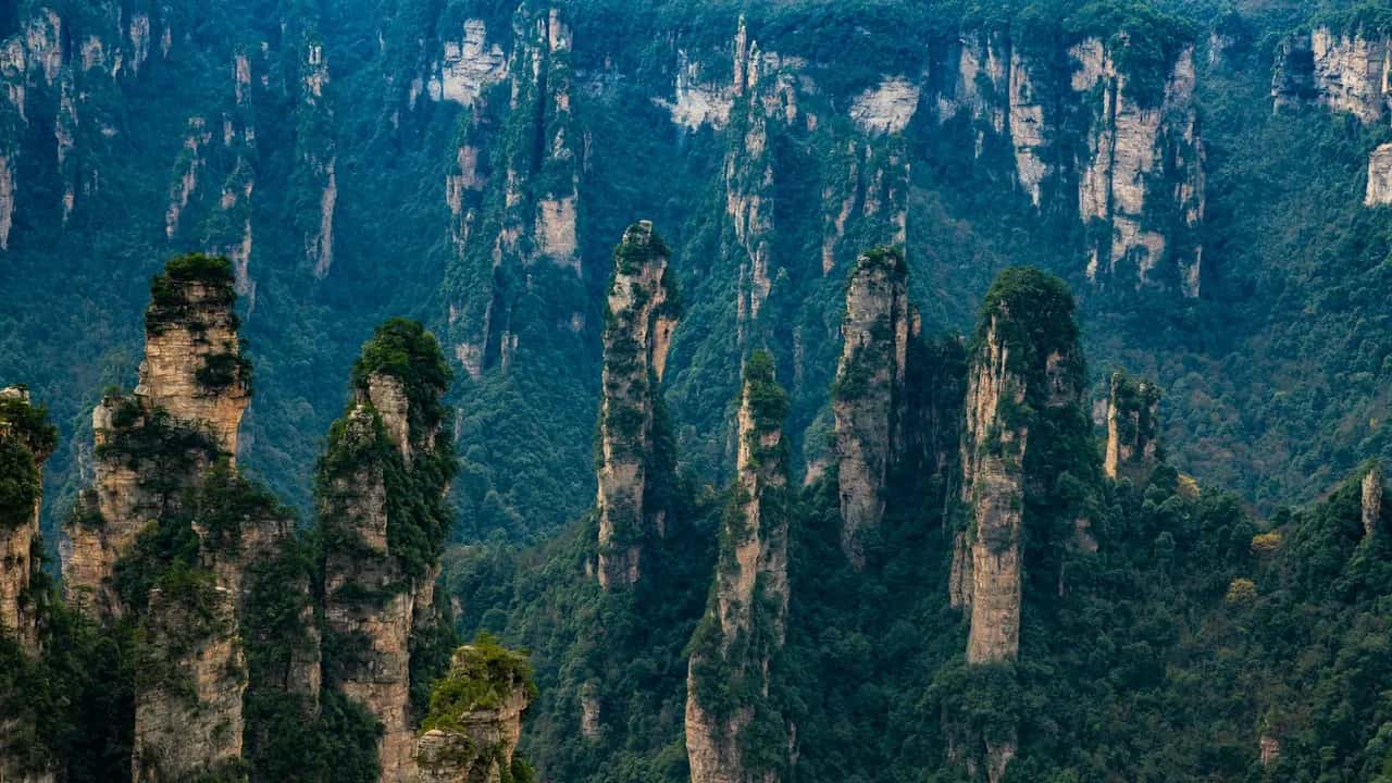 Avatar Furong, China
